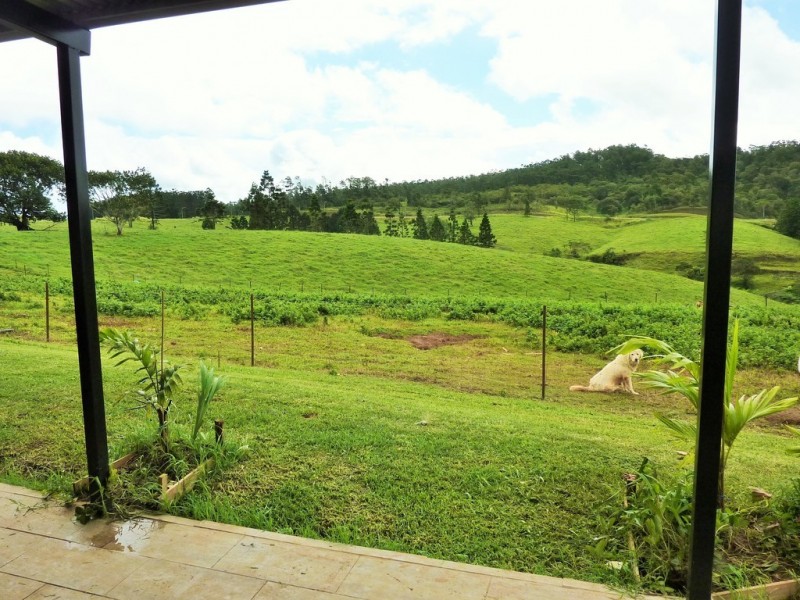 Millaa Millaa QLD 4886