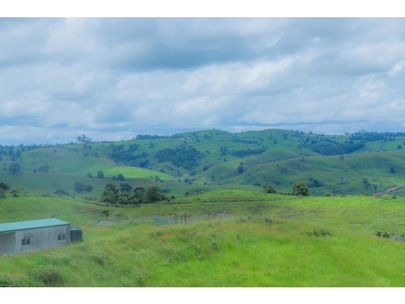 Millaa Millaa QLD 4886