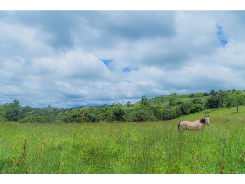 Millaa Millaa QLD 4886