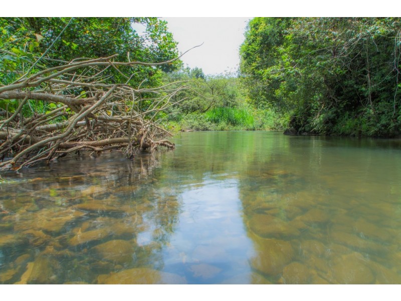 Millaa Millaa QLD 4886