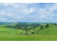 Millaa Millaa QLD 4886