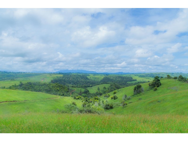 Millaa Millaa QLD 4886