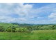 Millaa Millaa QLD 4886