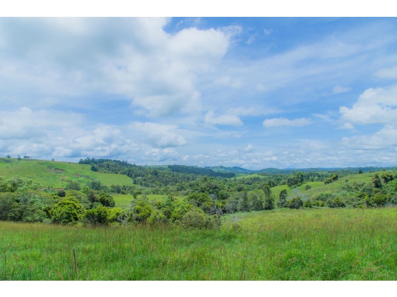 Millaa Millaa QLD 4886