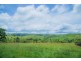 Millaa Millaa QLD 4886