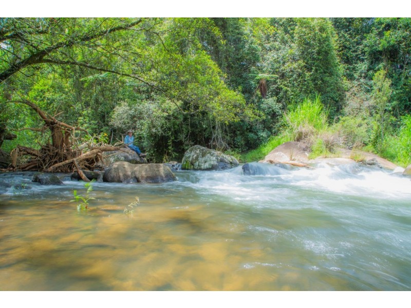 Millaa Millaa QLD 4886