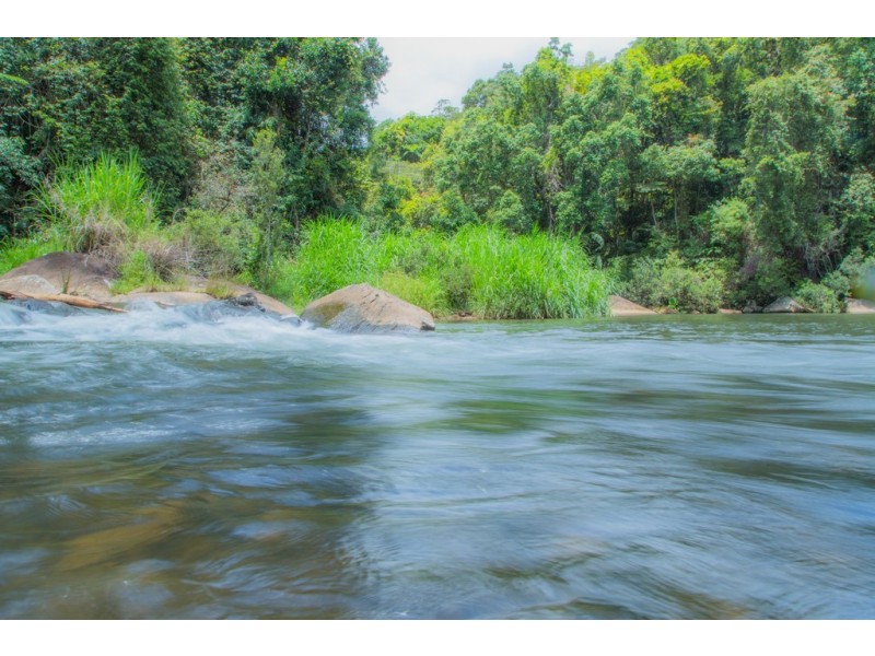 Millaa Millaa QLD 4886