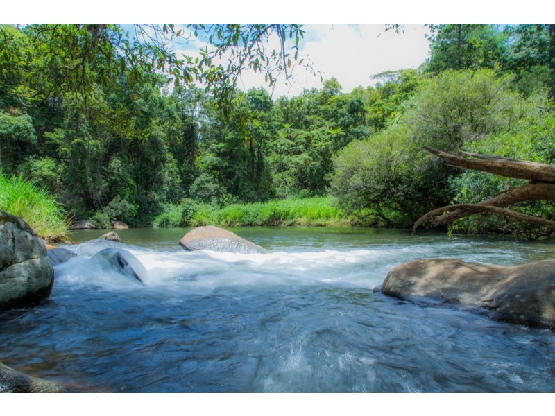 Millaa Millaa QLD 4886
