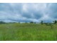 Millaa Millaa QLD 4886
