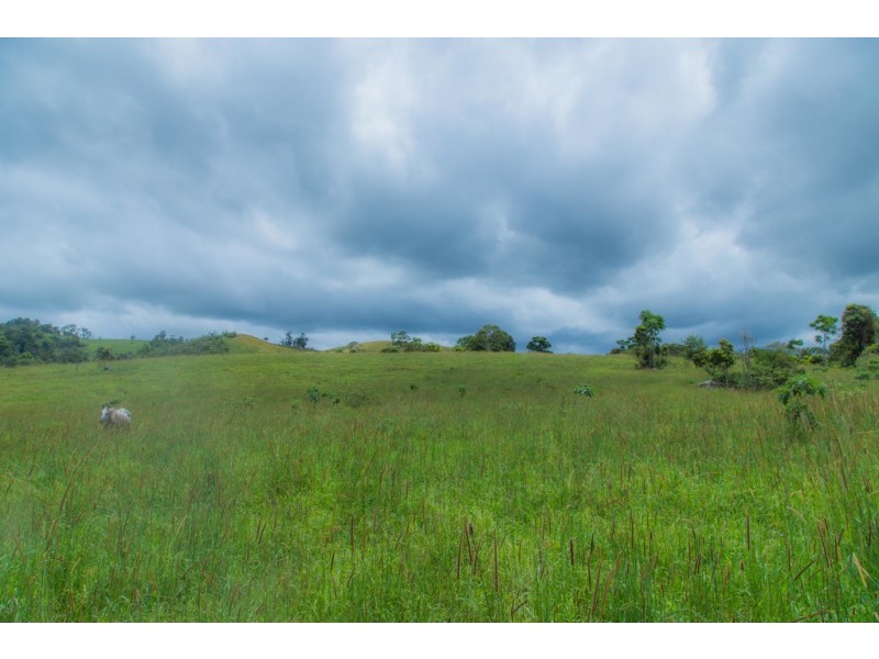 Millaa Millaa QLD 4886