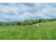 Millaa Millaa QLD 4886