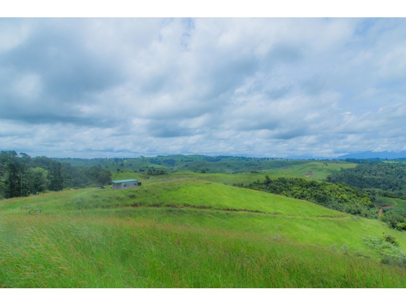 Millaa Millaa QLD 4886