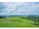 Millaa Millaa QLD 4886