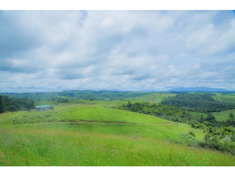 Millaa Millaa QLD 4886
