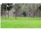 Carrington QLD 4883