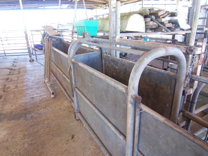 Millaa Millaa QLD 4886