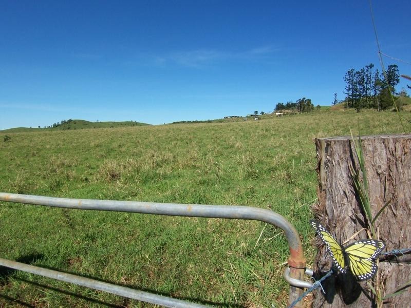 Millaa Millaa QLD 4886