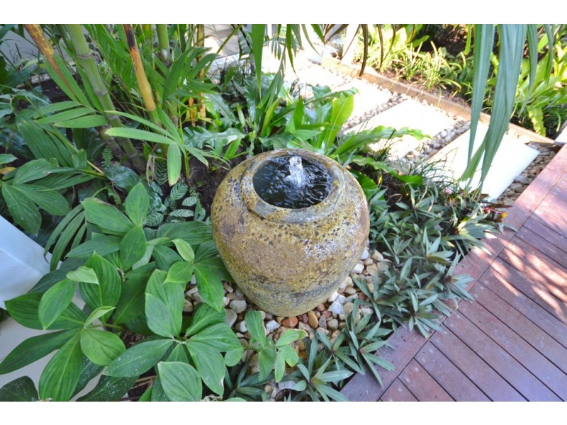 6 LAMBUS STREET, Palm Cove QLD 4879