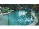 39 Terebra Street, Palm Cove QLD 4879