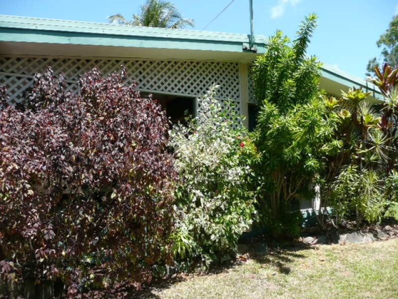 39 Terebra Street, Palm Cove QLD 4879
