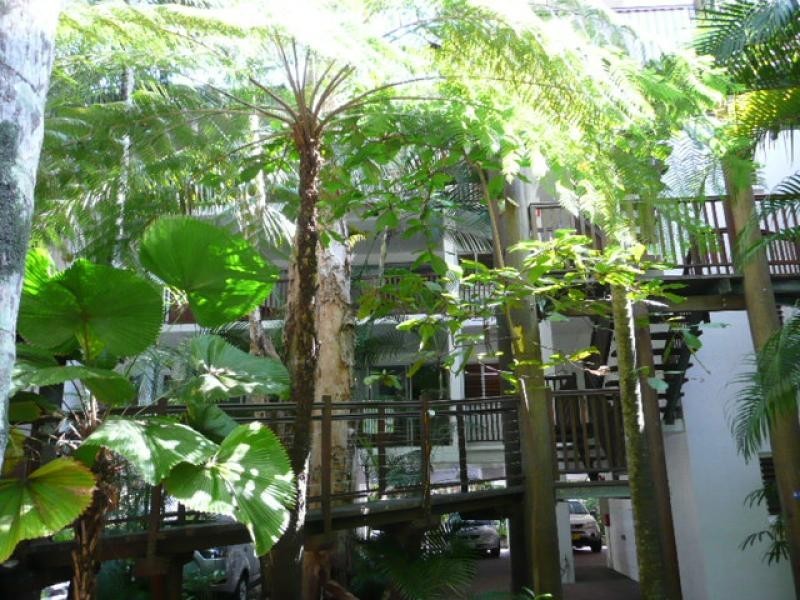 20/10 Harpa Street, Palm Cove QLD 4879