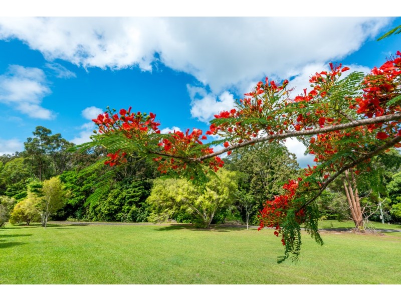 135 STONEY CREEK ROAD, Speewah QLD 4881