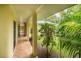 15 THAIS STREET, Palm Cove QLD 4879