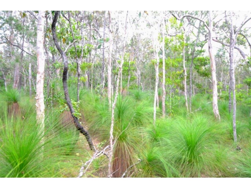 76 LOT 52 KOAH RD., Koah QLD 4881