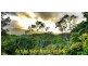 16 (L.69) Warril Drive, Kuranda QLD 4881