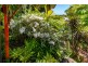 27 Savannah Street, Palm Cove QLD 4879