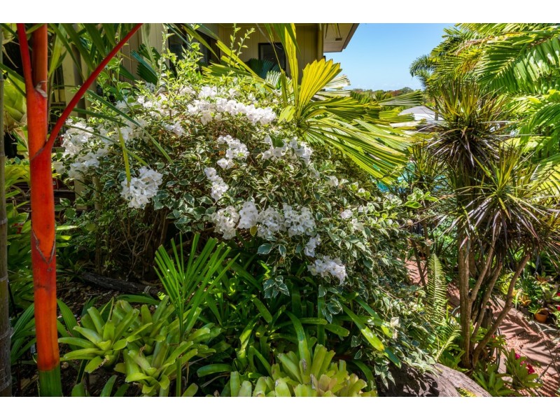 27 Savannah Street, Palm Cove QLD 4879