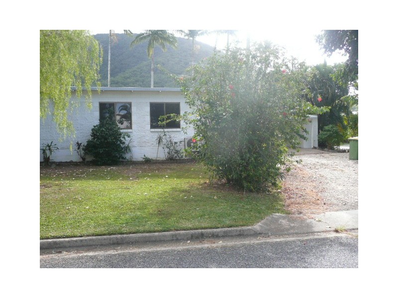53 Terebra St, Palm Cove QLD 4879