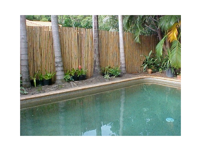 2/31 Oliva Street, Palm Cove QLD 4879