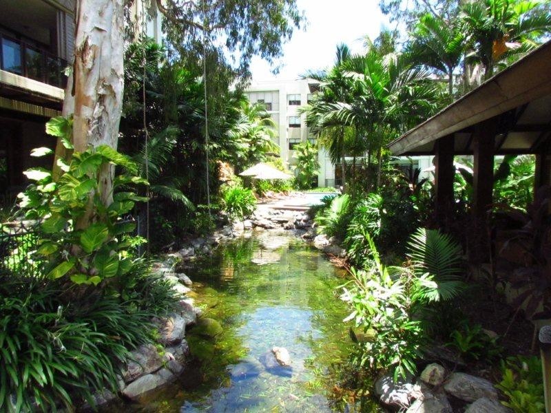 5 Triton St, Palm Cove QLD 4879