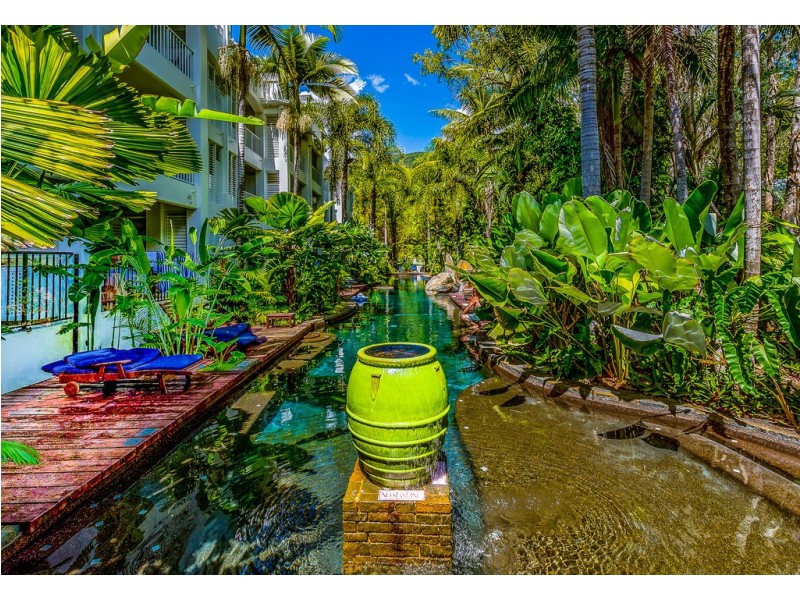 123 Williams Esp., Palm Cove QLD 4879