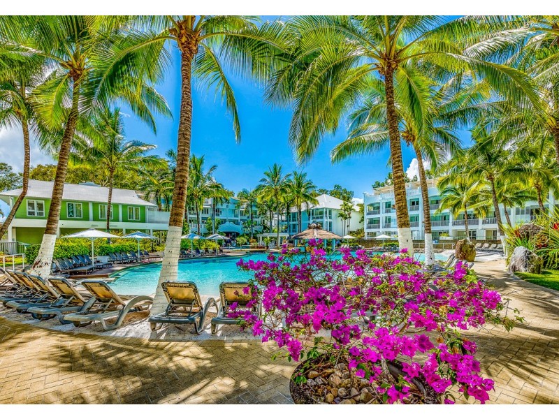 123 Williams Esp., Palm Cove QLD 4879