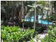 3201/1 Williams Esp, Palm Cove QLD 4879
