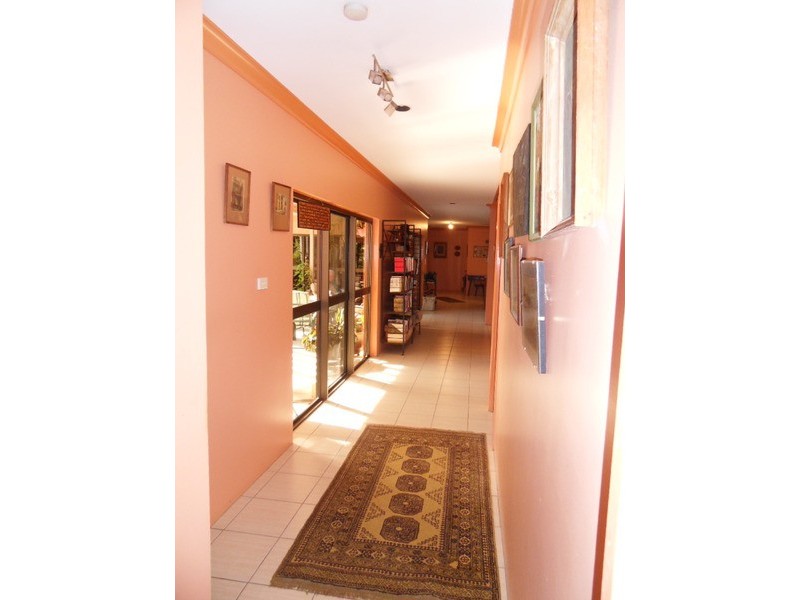 43 Terebra St, Palm Cove QLD 4879