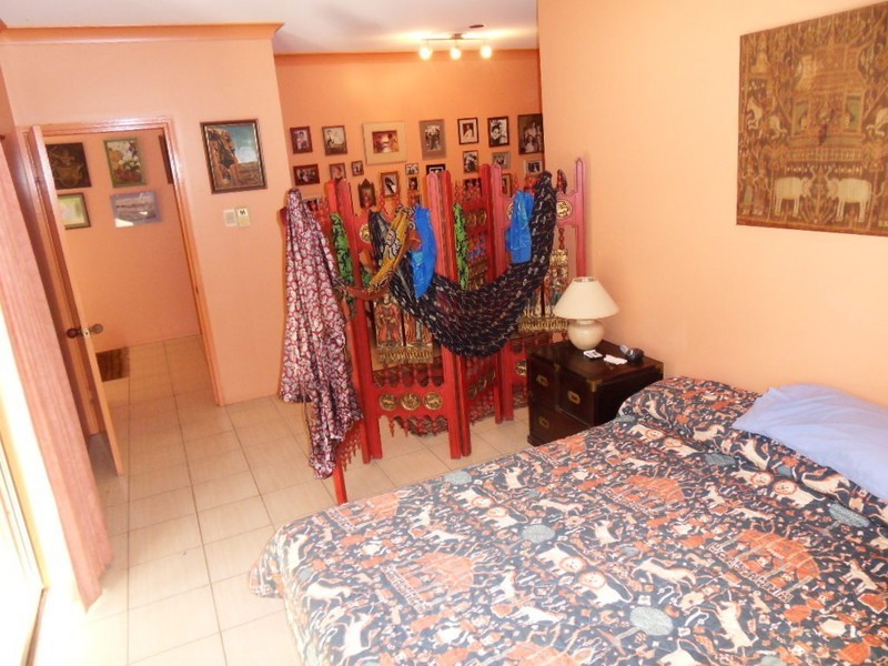 43 Terebra St, Palm Cove QLD 4879