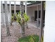 43 Terebra Street, Palm Cove QLD 4879