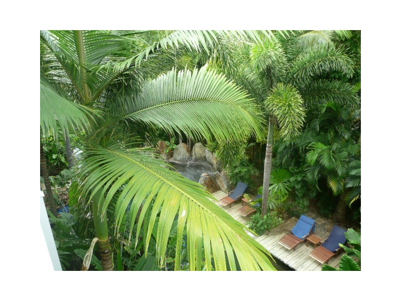 6233/123 Williams Esplanade, Palm Cove QLD 4879