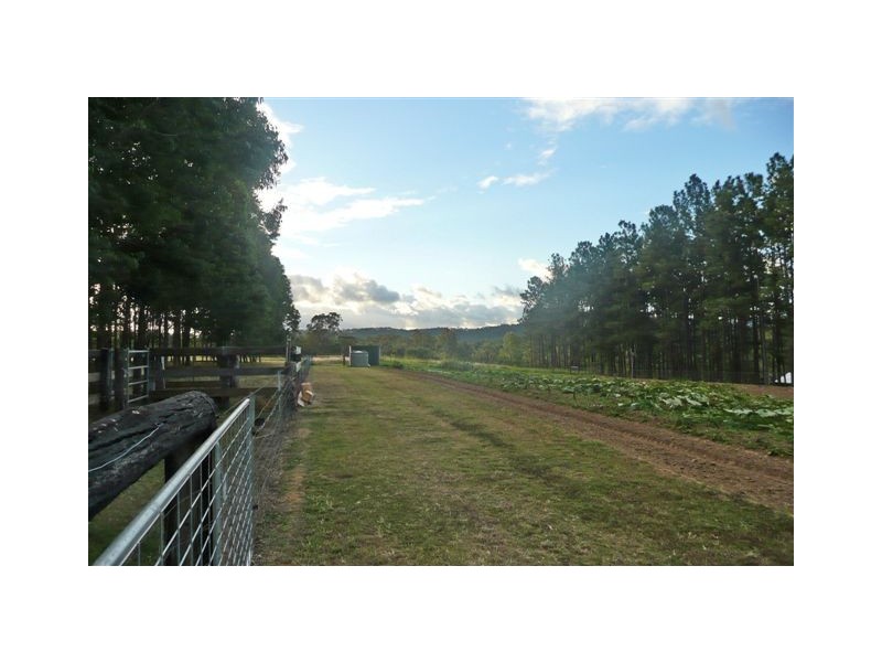 267 Koah Road, Koah QLD 4881