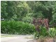 9/109 Upolu Esplanade, Palm Cove QLD 4879