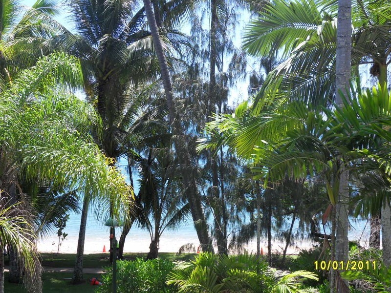 8/65 Williams Esplanade, Palm Cove QLD 4879