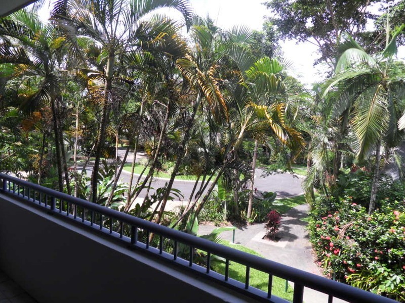 19/23 Veivers Road, Palm Cove QLD 4879
