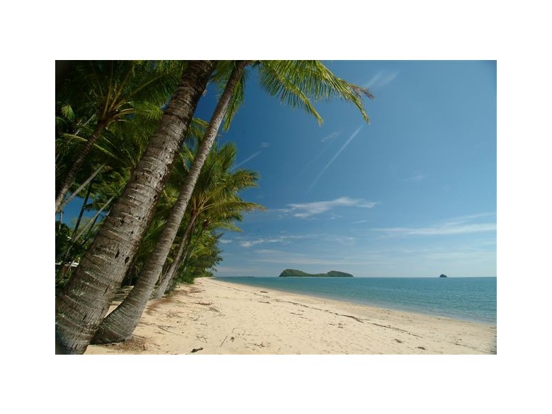 25 Savannah Street, Palm Cove QLD 4879