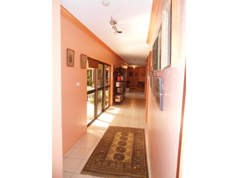 43 Terebra Street, Palm Cove QLD 4879