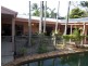 43 Terebra Street, Palm Cove QLD 4879
