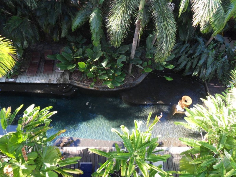 6233/123 Williams Esplanade, Palm Cove QLD 4879