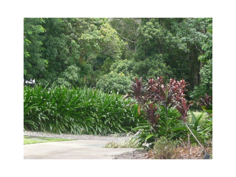 11/109 Upolu Esplanade, Palm Cove QLD 4879